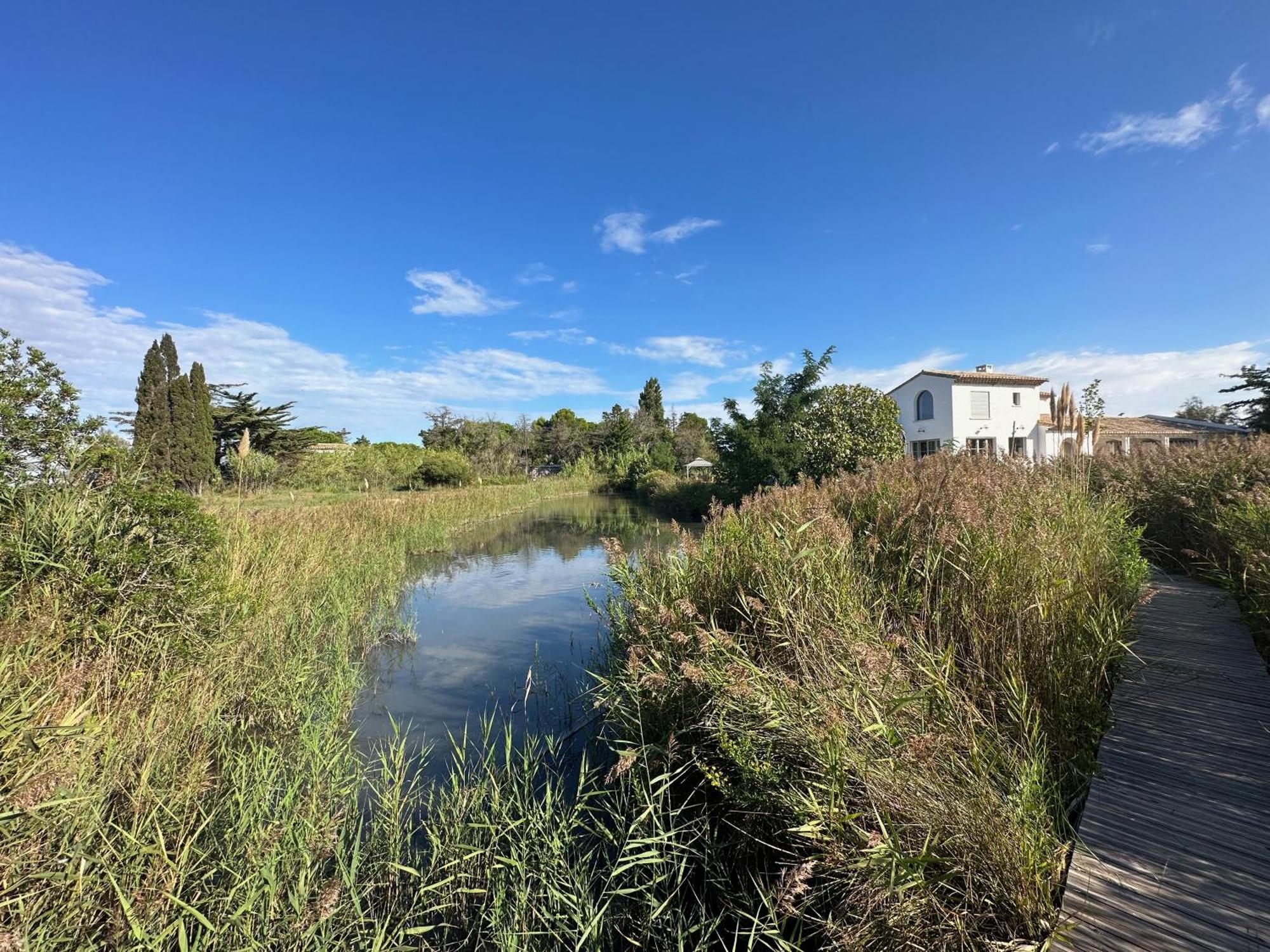 Mas Du Couvin, Maison D'Hotes En Camargue Saintes-Maries-de-la-Mer Eksteriør billede