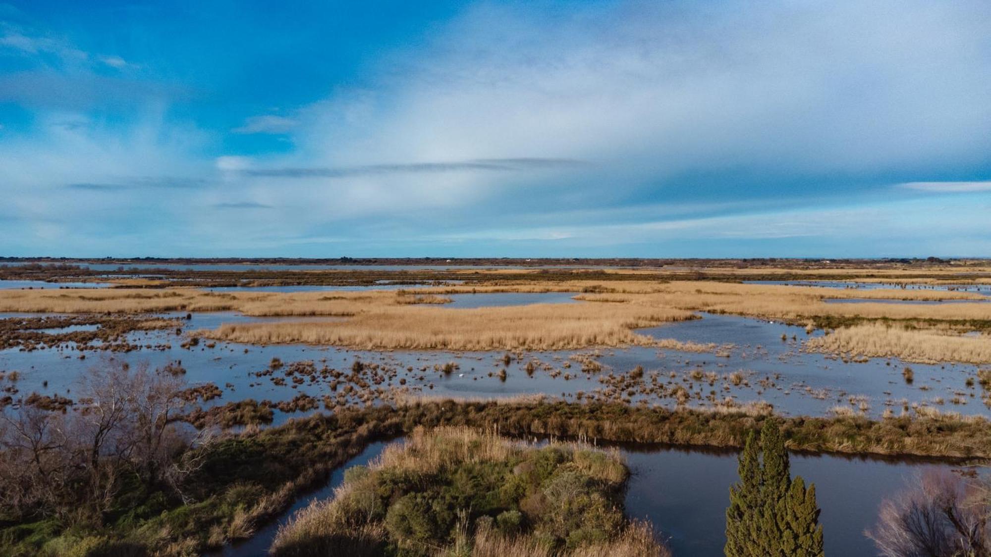 Mas Du Couvin, Maison D'Hotes En Camargue Saintes-Maries-de-la-Mer Eksteriør billede