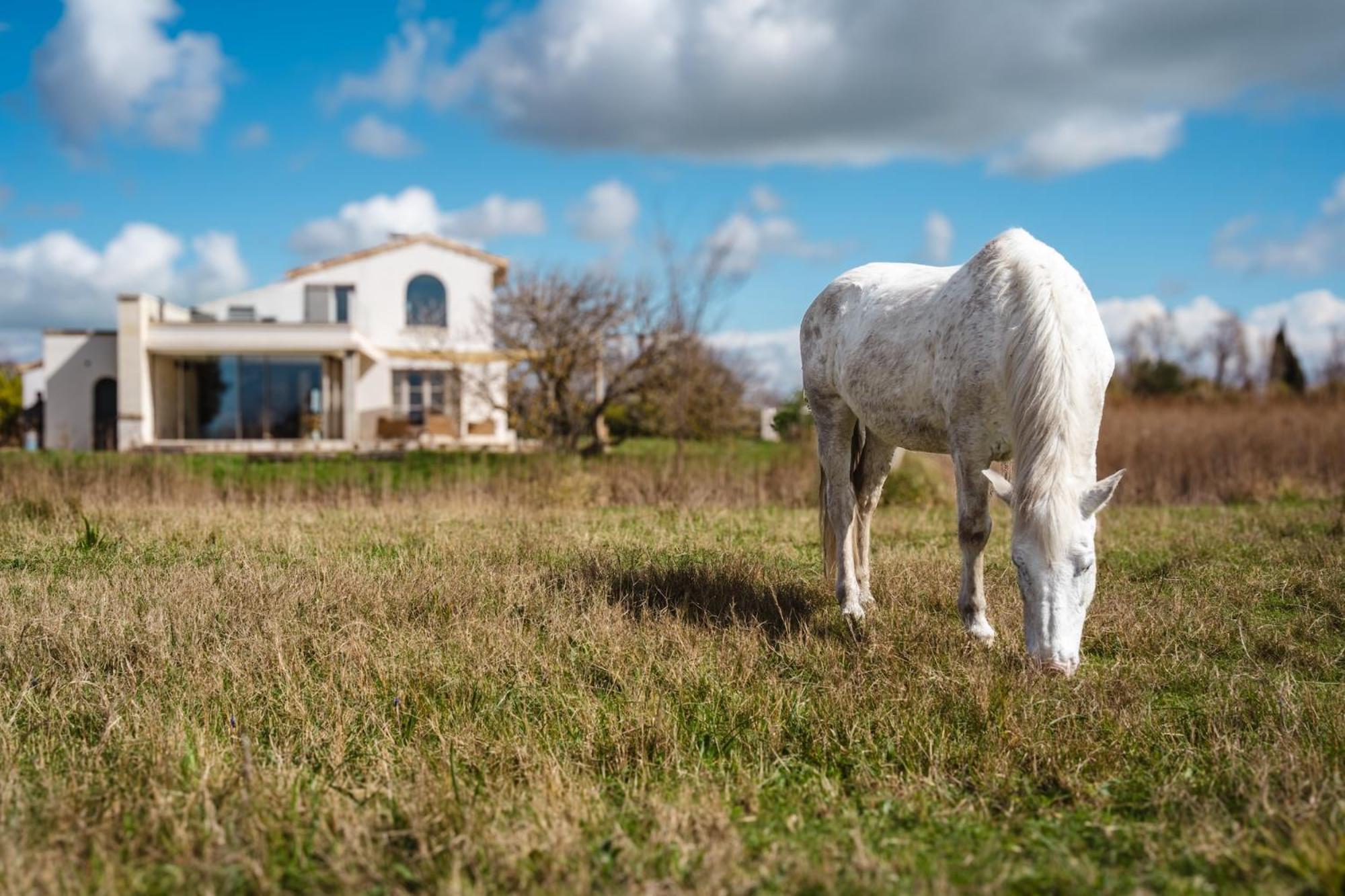 Mas Du Couvin, Maison D'Hotes En Camargue Saintes-Maries-de-la-Mer Eksteriør billede
