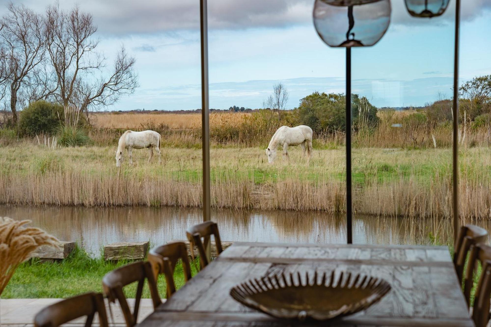Mas Du Couvin, Maison D'Hotes En Camargue Saintes-Maries-de-la-Mer Eksteriør billede